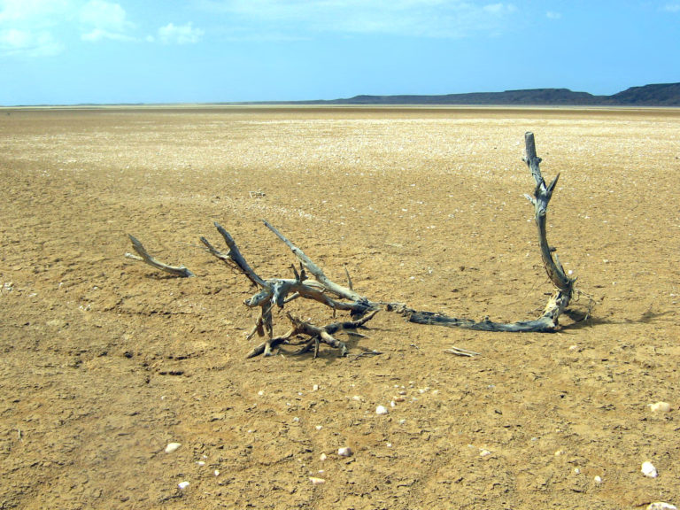 Bienvenidos in Guajira