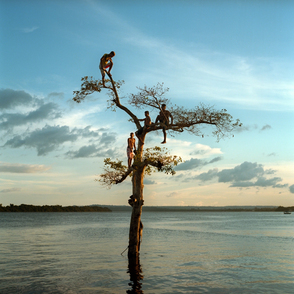 Un gruppo di ragazzi si arrampica su un albero lungo il fiume Xingu, vicino alla città di Altamira, Brasile. Un terzo della città verrà permanentemente sommersa in seguito al completamento della diga di Belo Monte – 2014 © Aaron Elkaim
