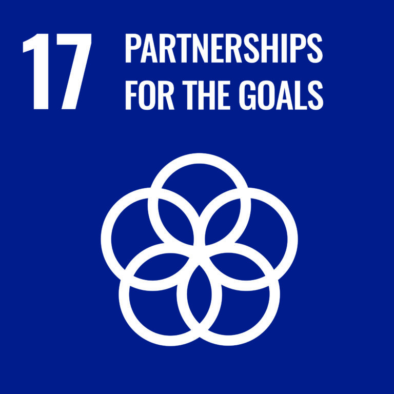 Agenda 2030: rinnovare il partenariato mondiale per lo sviluppo sostenibile