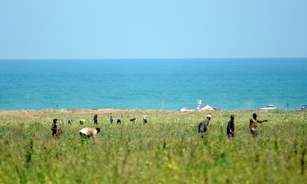 Da immigrati a schiavi: l’agromafia in Italia