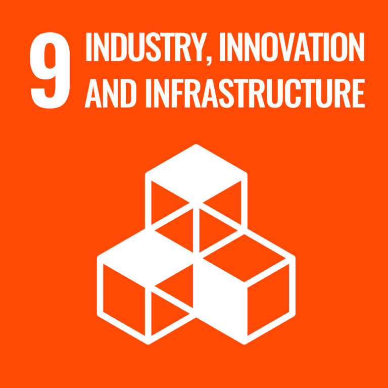 Agenda 2030: costruire infrastrutture durature e promuovere un’industrializzazione sostenibile