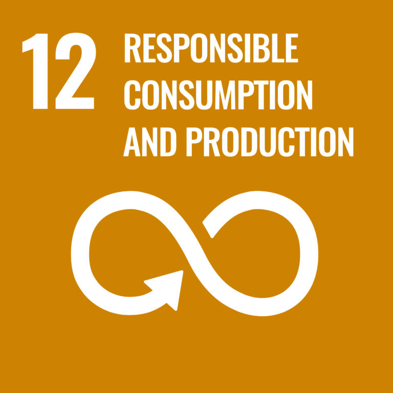 Agenda 2030: garantire modelli sostenibili di produzione e consumo