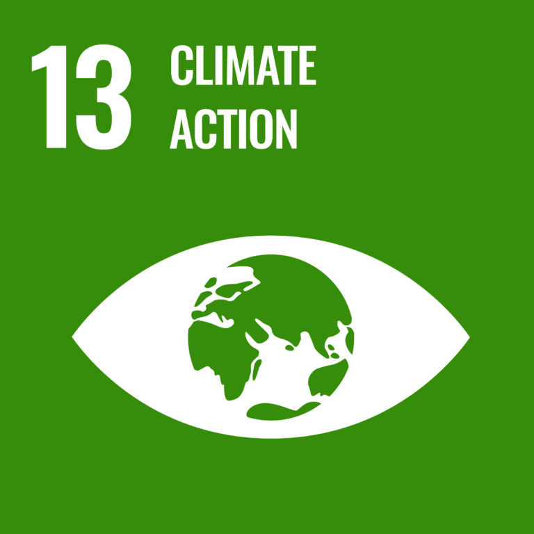 Agenda 2030: promuovere azioni per combattere il cambiamento climatico